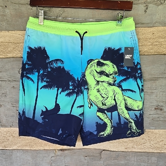 KIDS Lands' End BOYS XL 14/16 Blue and Green Dinosaur Swim Shorts - Picture 1 of 5